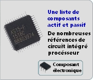 Circuit intgr et processeur 
