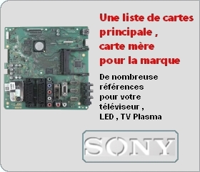 Carte mre Sony 